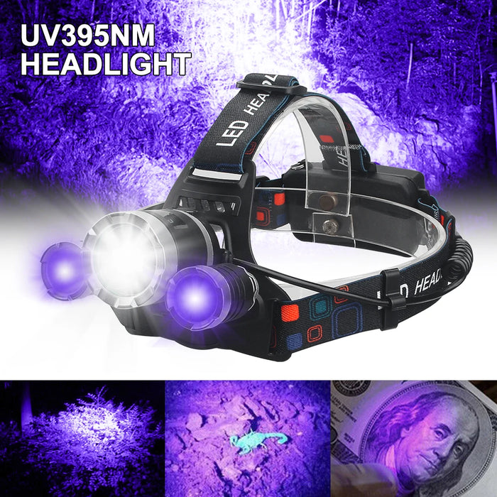 Headlamp UV 395nm Torch Pet Stains Checker Outdoor