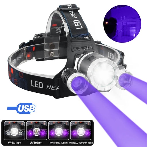 Headlamp UV 395nm Torch Pet Stains Checker Outdoor